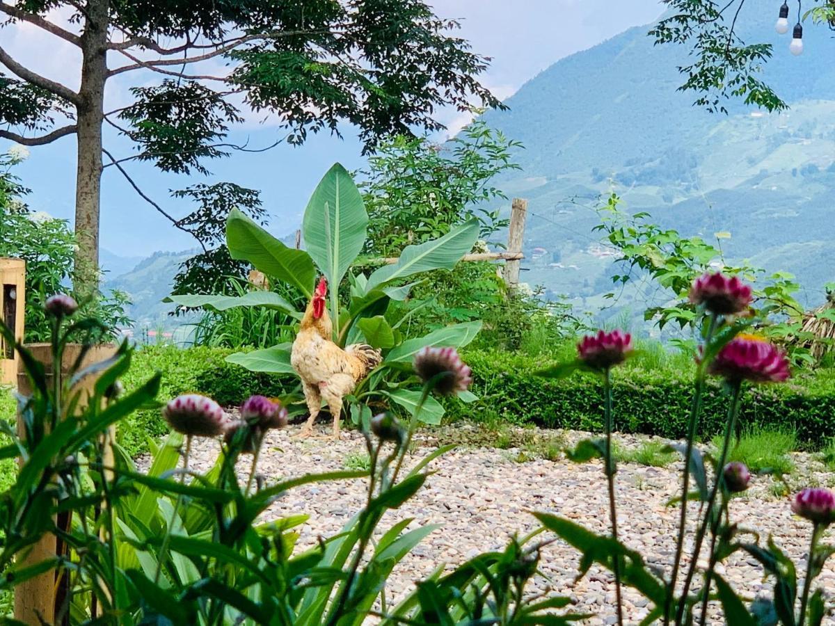 Sapa Rosie House Hotel Exterior foto
